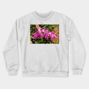 Purple orchid Crewneck Sweatshirt